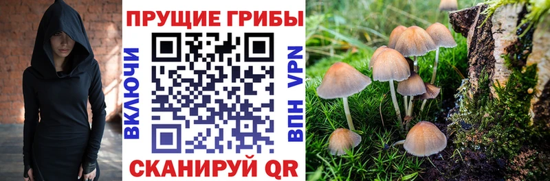 МЕГА онион  Бодайбо  Галлюциногенные грибы прущие грибы 